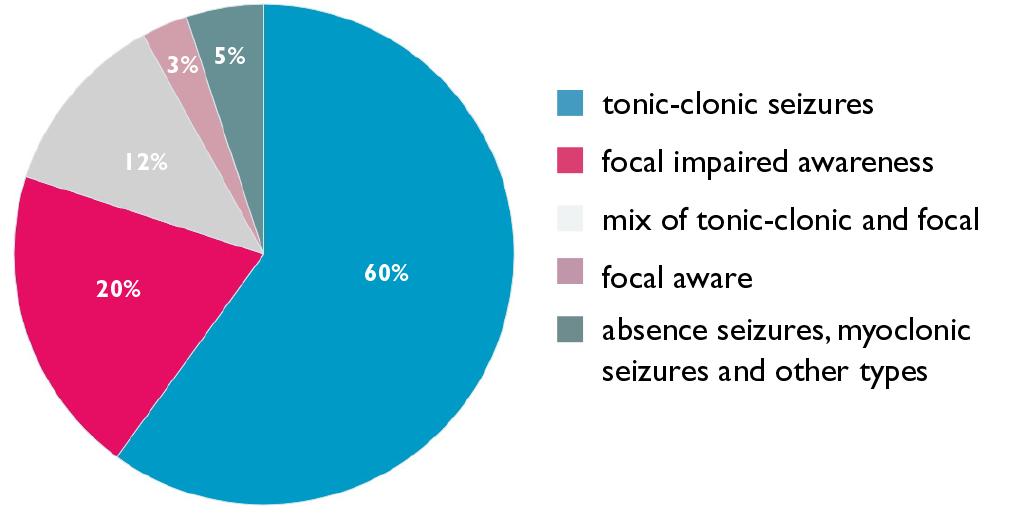 Pie chart showing percentage breakdown of different seizure types.
